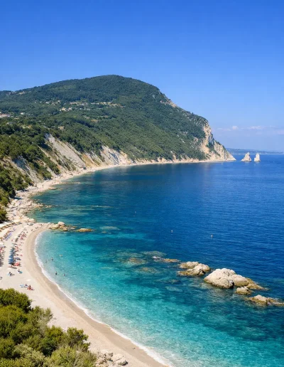 MARCHE